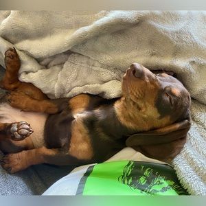 Meet your Posher, Rebekah